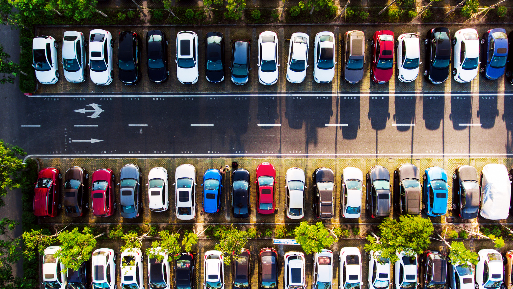 Eylül 2026 Motorlu Kara Taşıtları Verileri